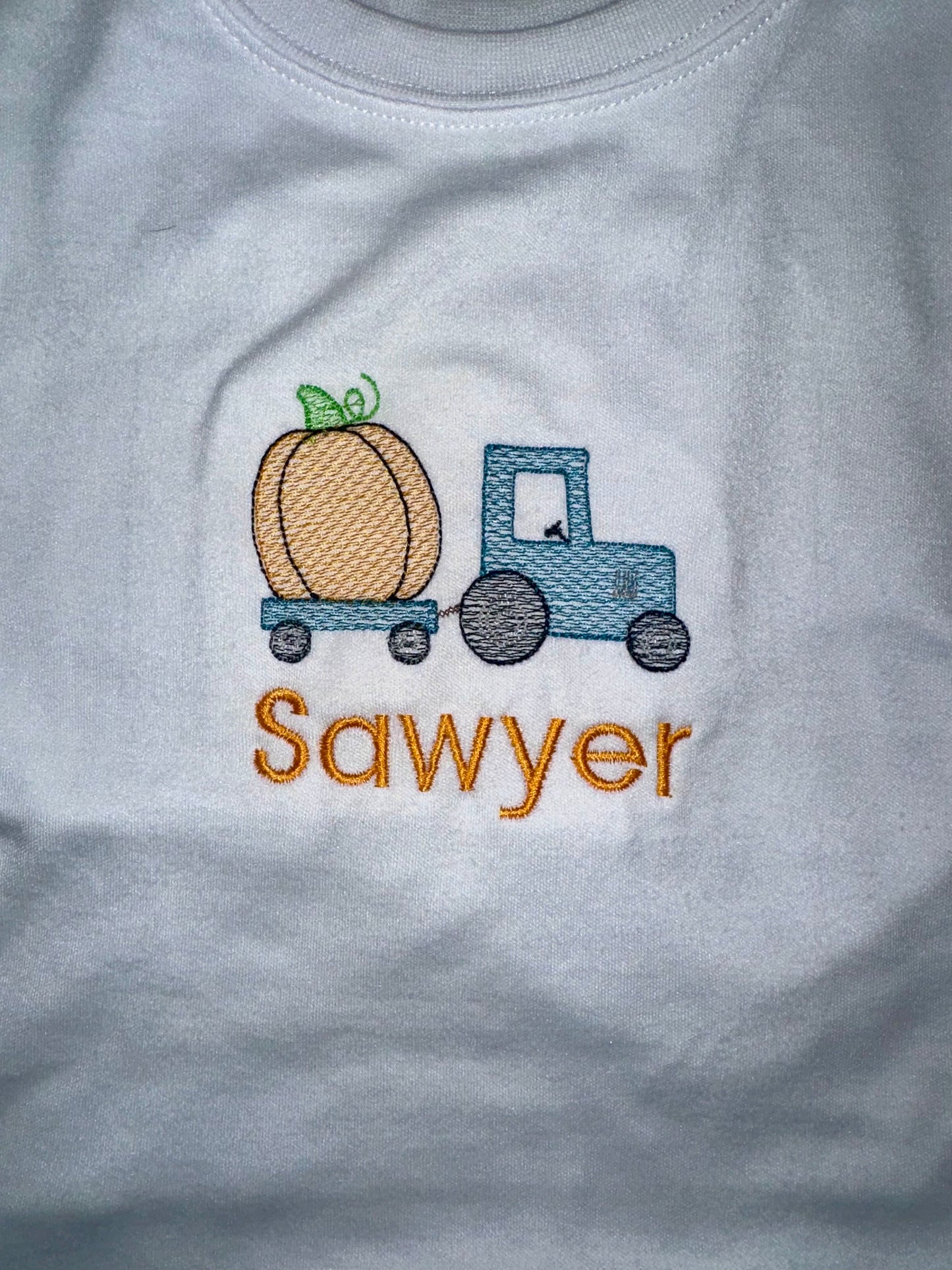 Custom Pumpkin Delivery Tshirt/Onesie